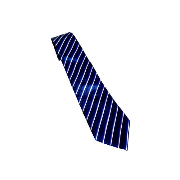 HOT Blue Striped Tie